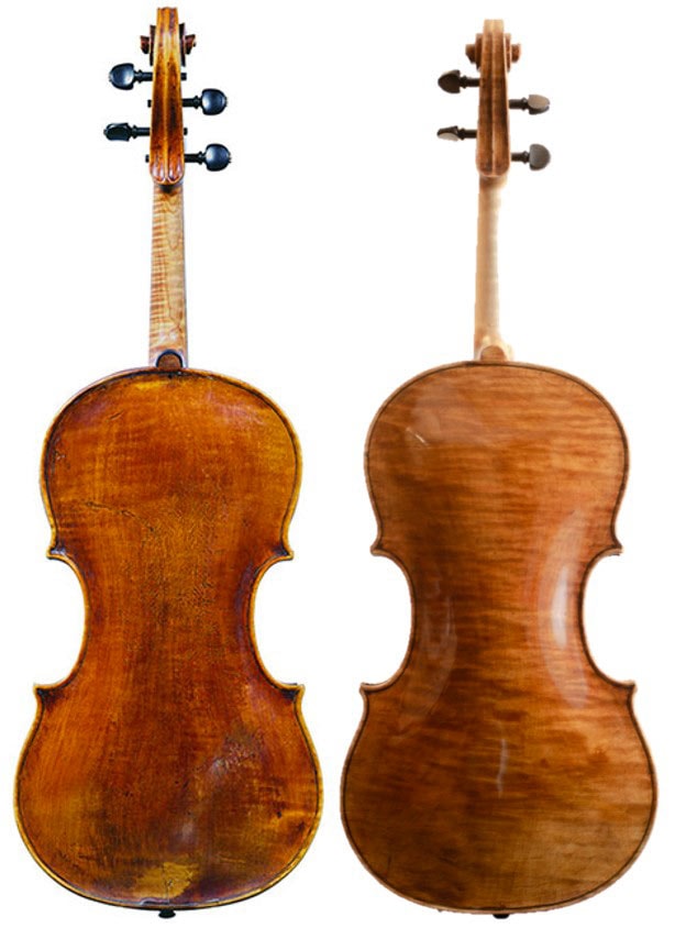 Viola Filippo Fasser Back
