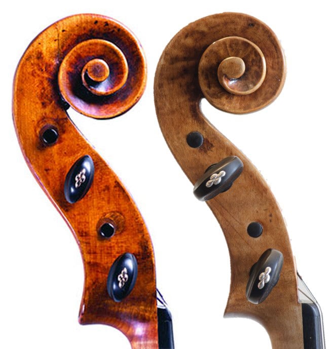 Viola Filippo Fasser - Head