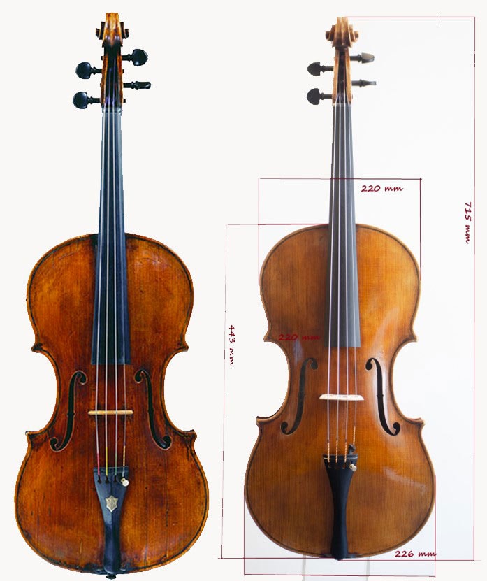 Viola Filippo Fasser - Top